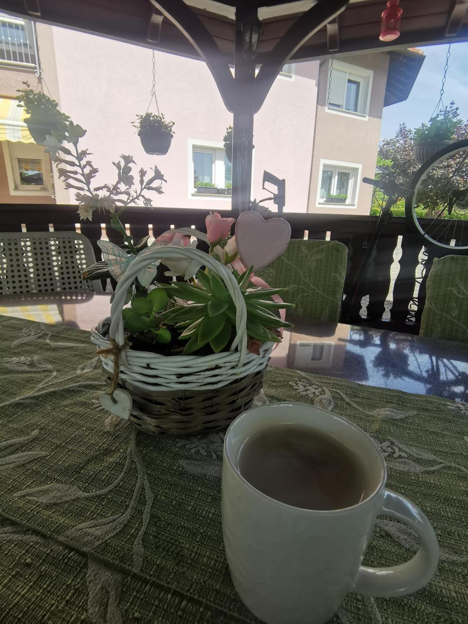 Apartman Jastreb 2